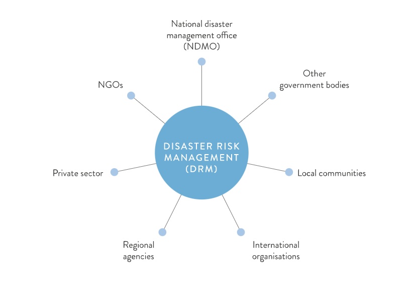Figure 3 – DRM is a multi-stakeholder effort