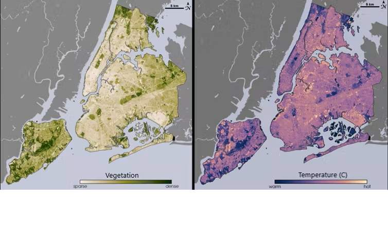 Maps of New York City’s vegetation and temperature