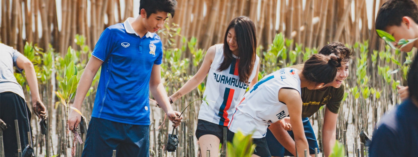 Thai student volunteers planting mangroves to prevent flooding