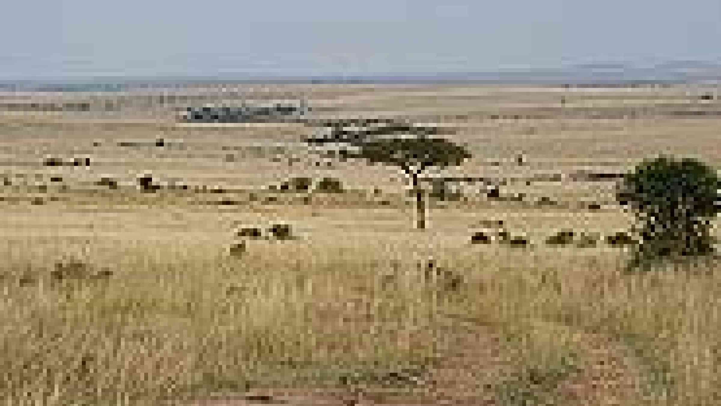 Photo of Masai Mara National Reserve, Kenya, by Julian Mason, Creative Commons Attribution-Noncommercial 2.0 Generic