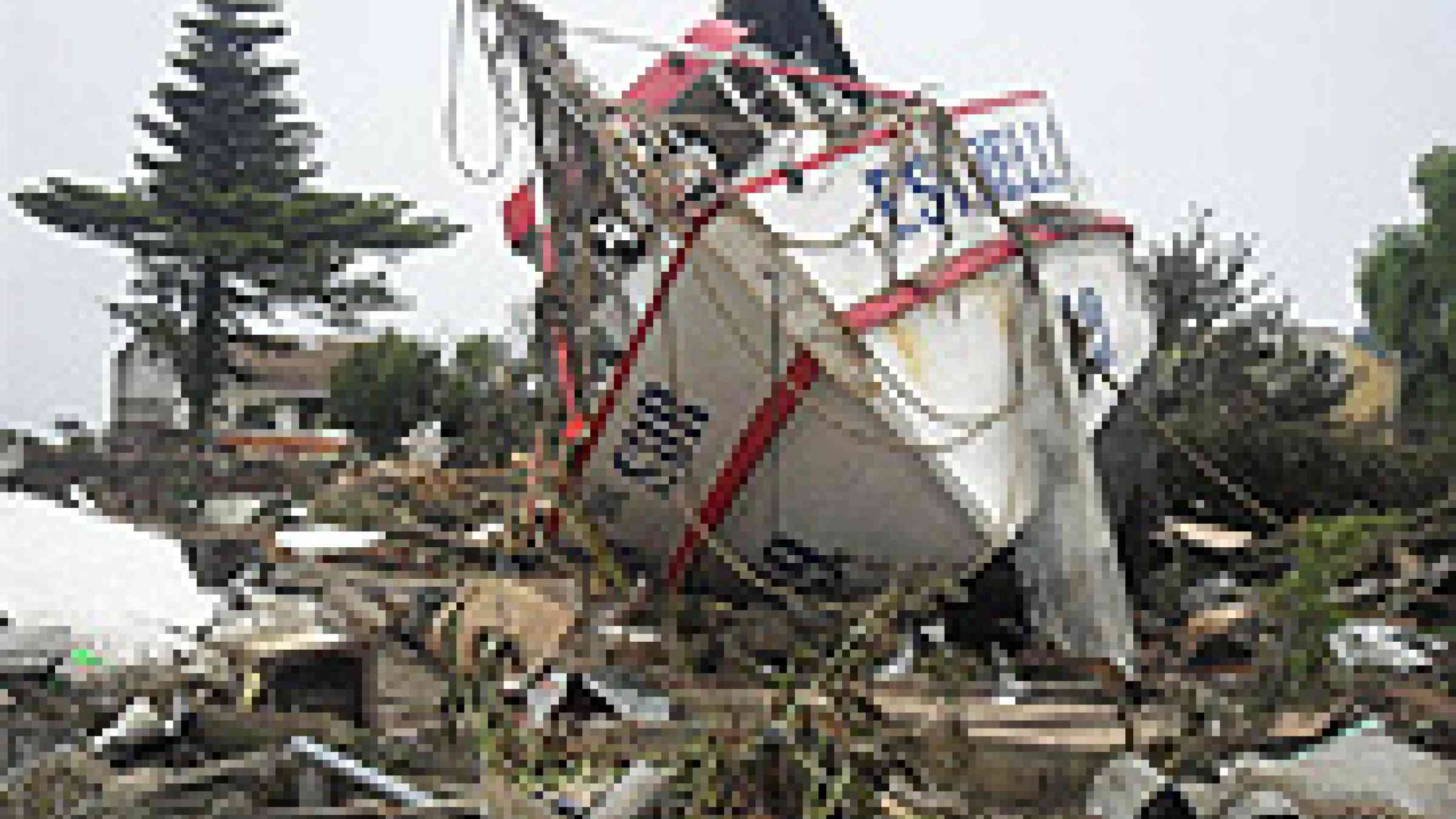 Photo of the devastation caused by the earthquake in Chile 28 Feb 2010 by Flickr user Felipe Ovalle, Creative Commons Attribution-Noncommercial-No Derivative Works 2.0 Generic, http://www.flickr.com/photos/nkesmeping/4396410357/in/set-721576234057