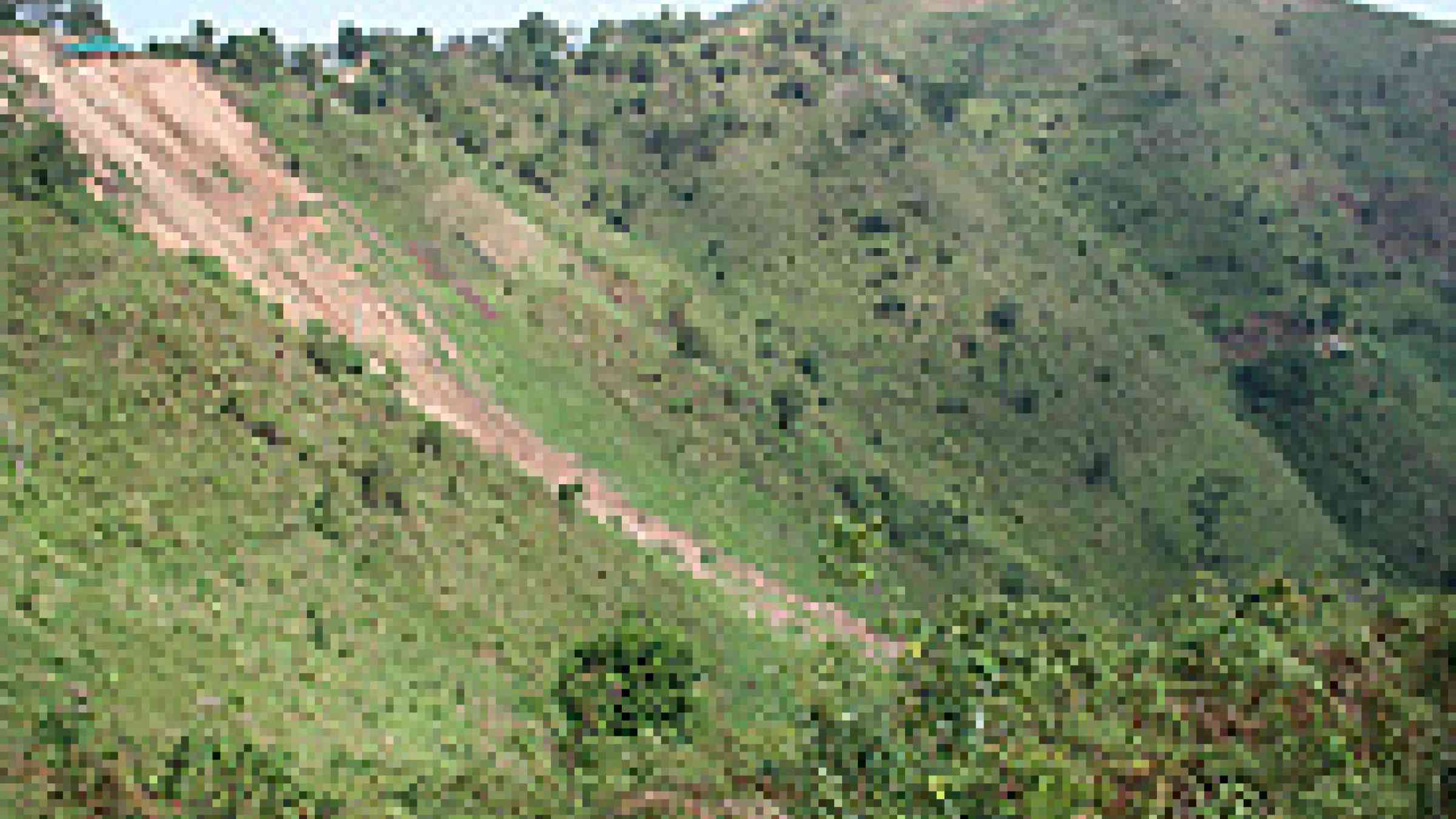 Photo of a landslide in Uganda by Flickr user, Kaj17, Creative Commons Attribution-Noncommercial-No Derivative Works 2.0 http://www.flickr.com/photos/kajisagook/3914734458/