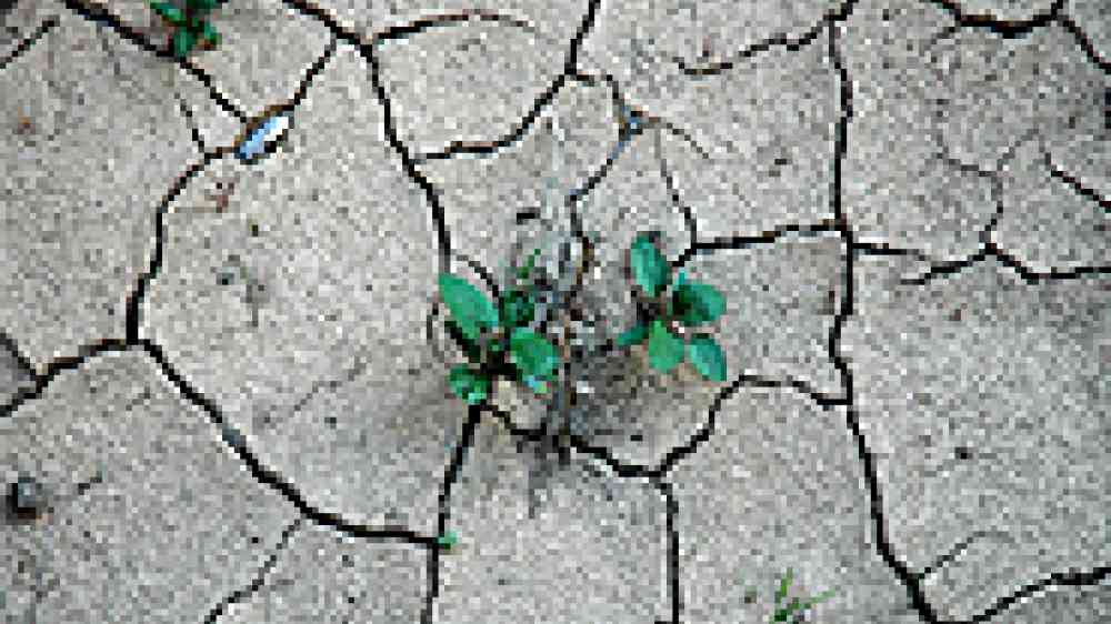 Photo copyright Pamela Ceron for UNCCD, http://unccd.int/publicinfo/photo/menu.php