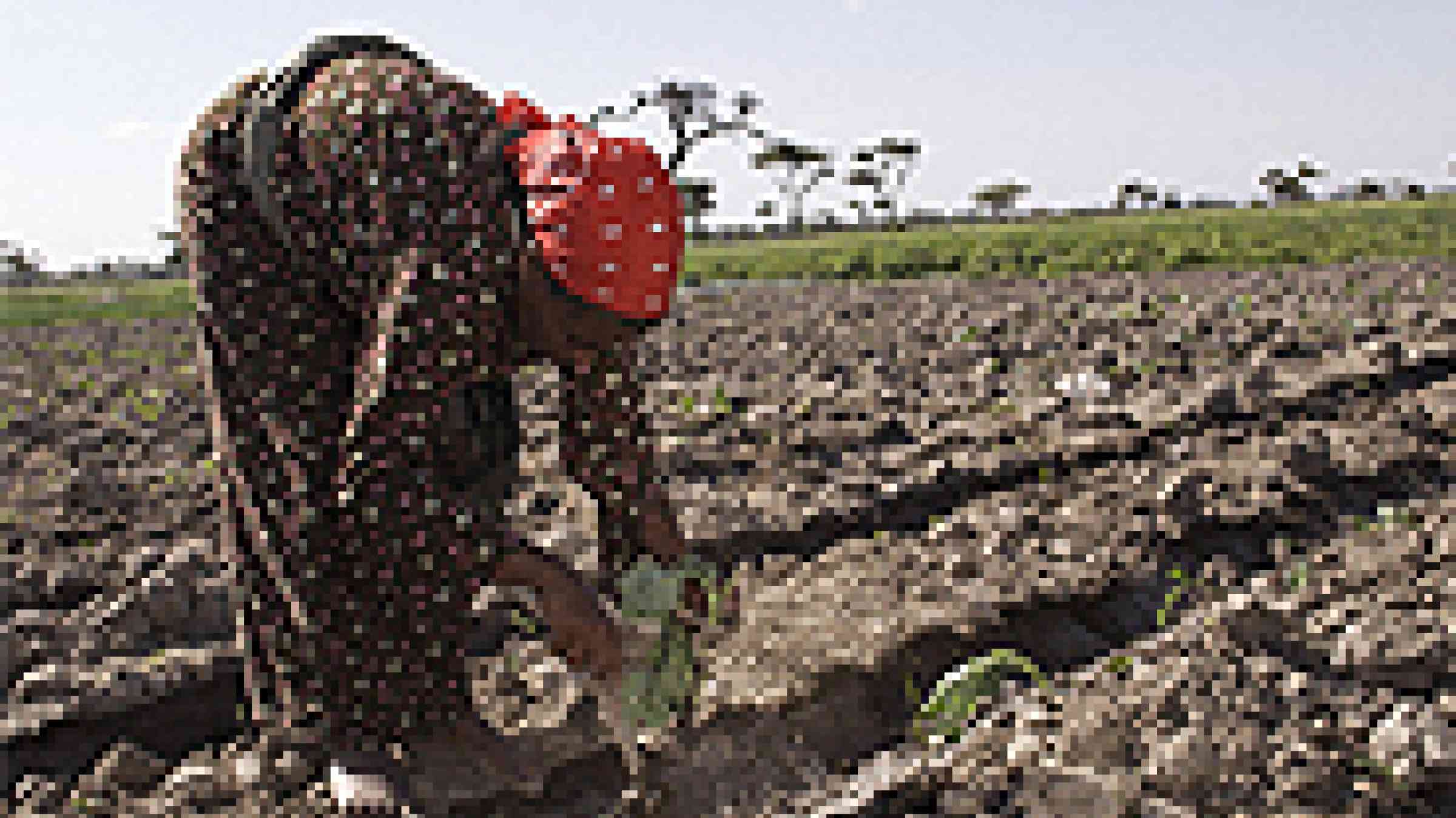 Photo copyright Oxfam GB