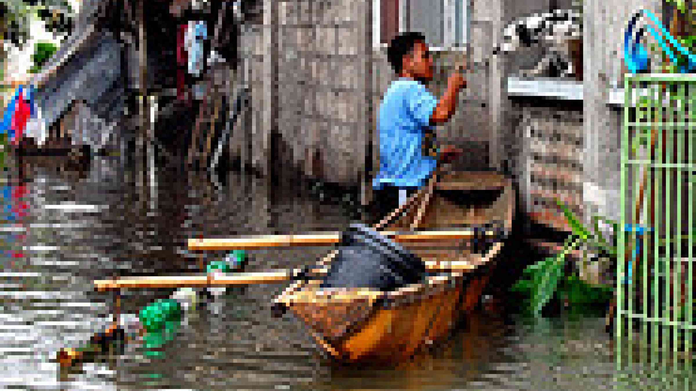 Photo copyright IRRI images, Creative Commons Attribution 2.0 Generic http://www.flickr.com/photos/ricephotos/3965688874/sizes//in/photostream/