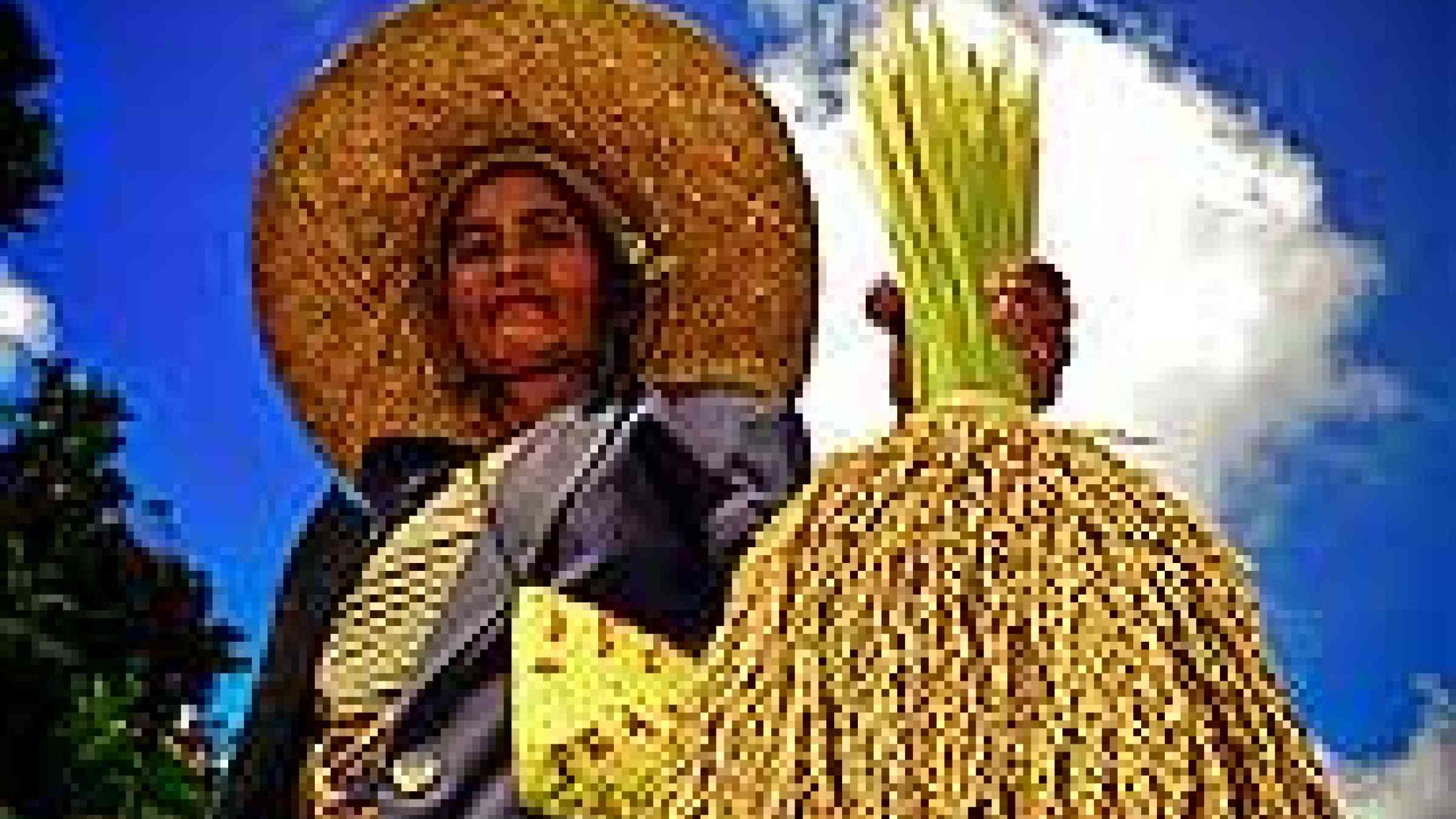 Photo copyright IRRI