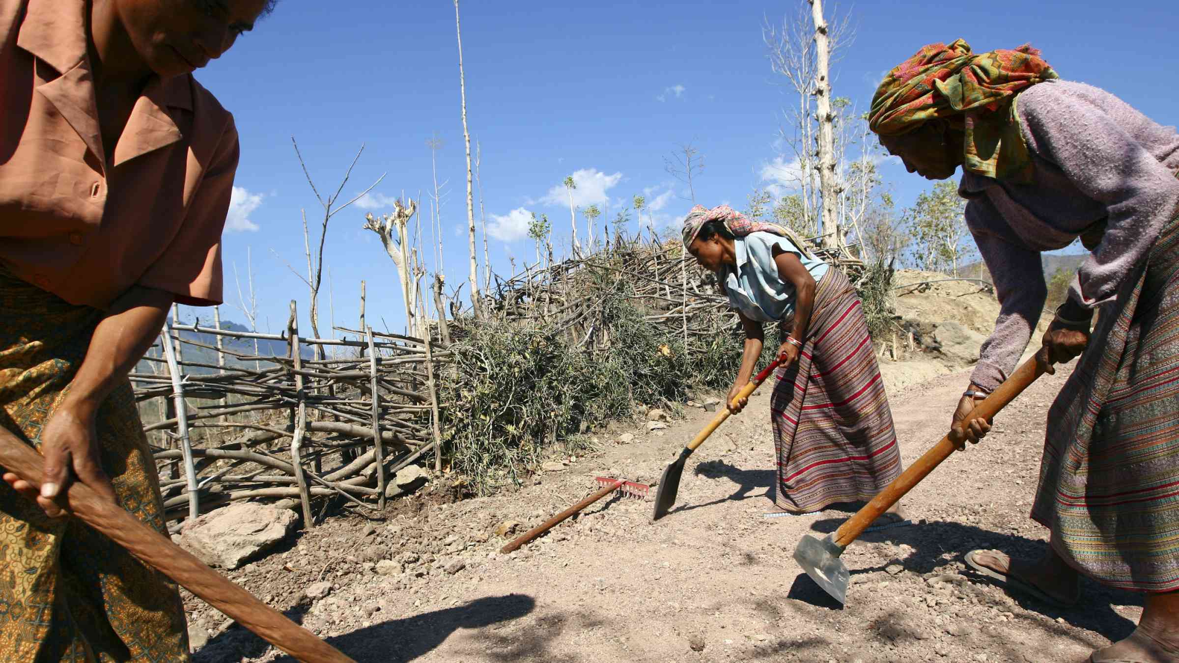 Timorese women working