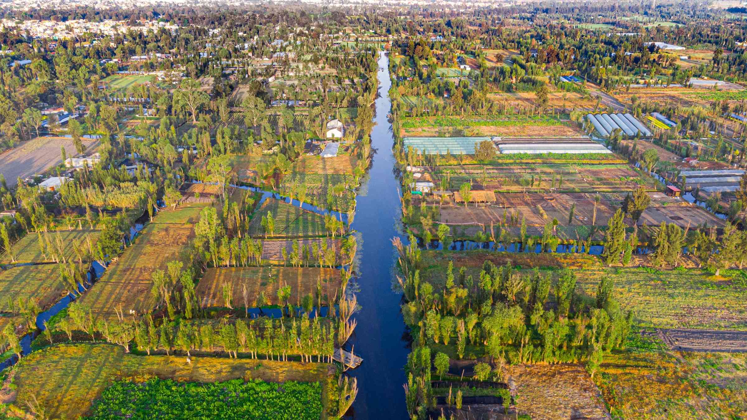 A drone view over the water channels and chinampas in south of Mexico 