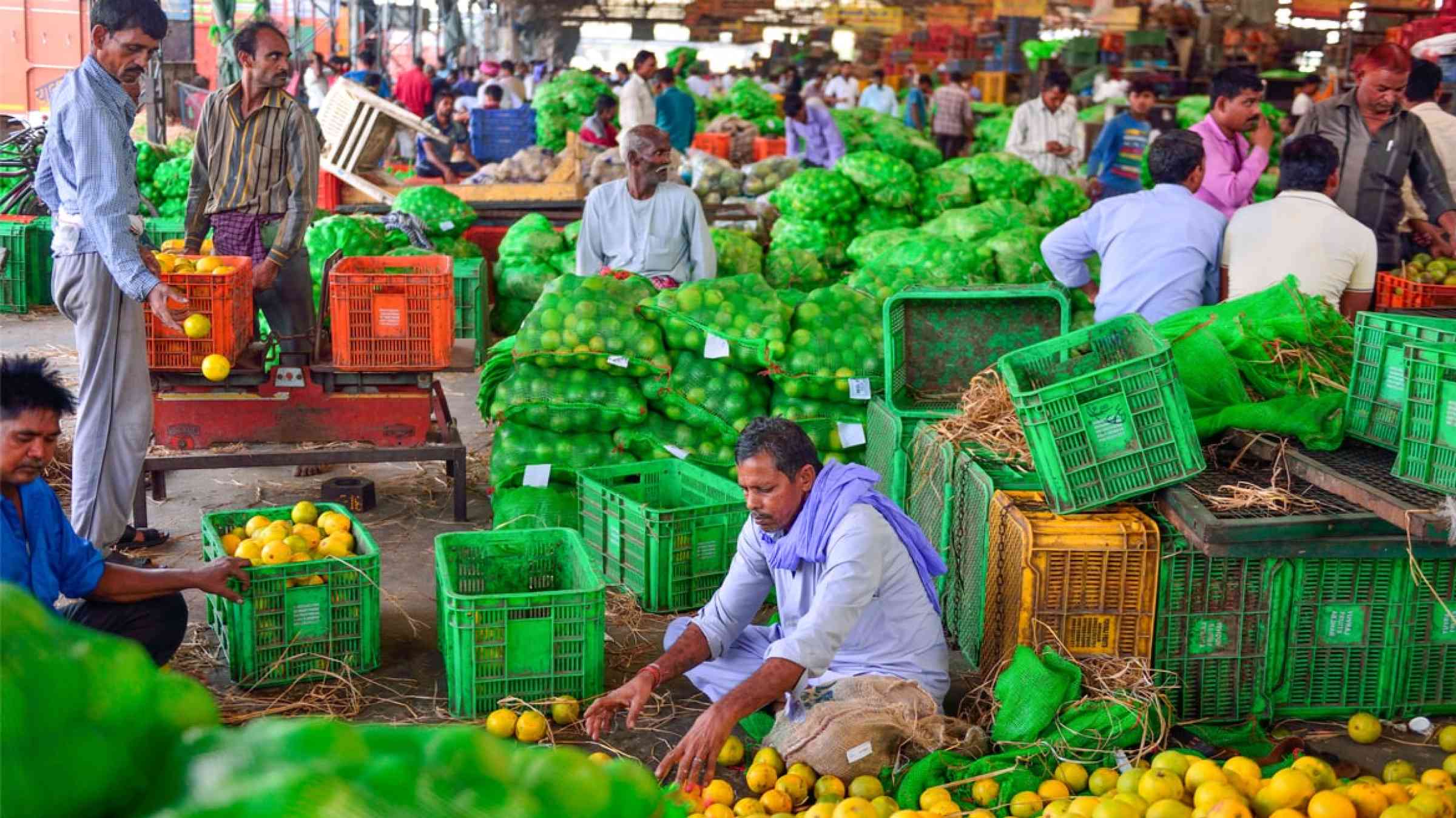 Workers packing citrus in New Delhi, India