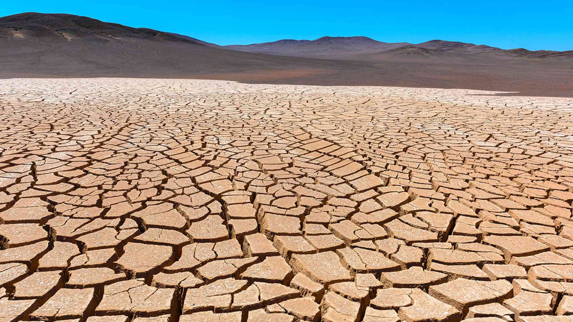 Dry cracked earth, Atacama, Chile