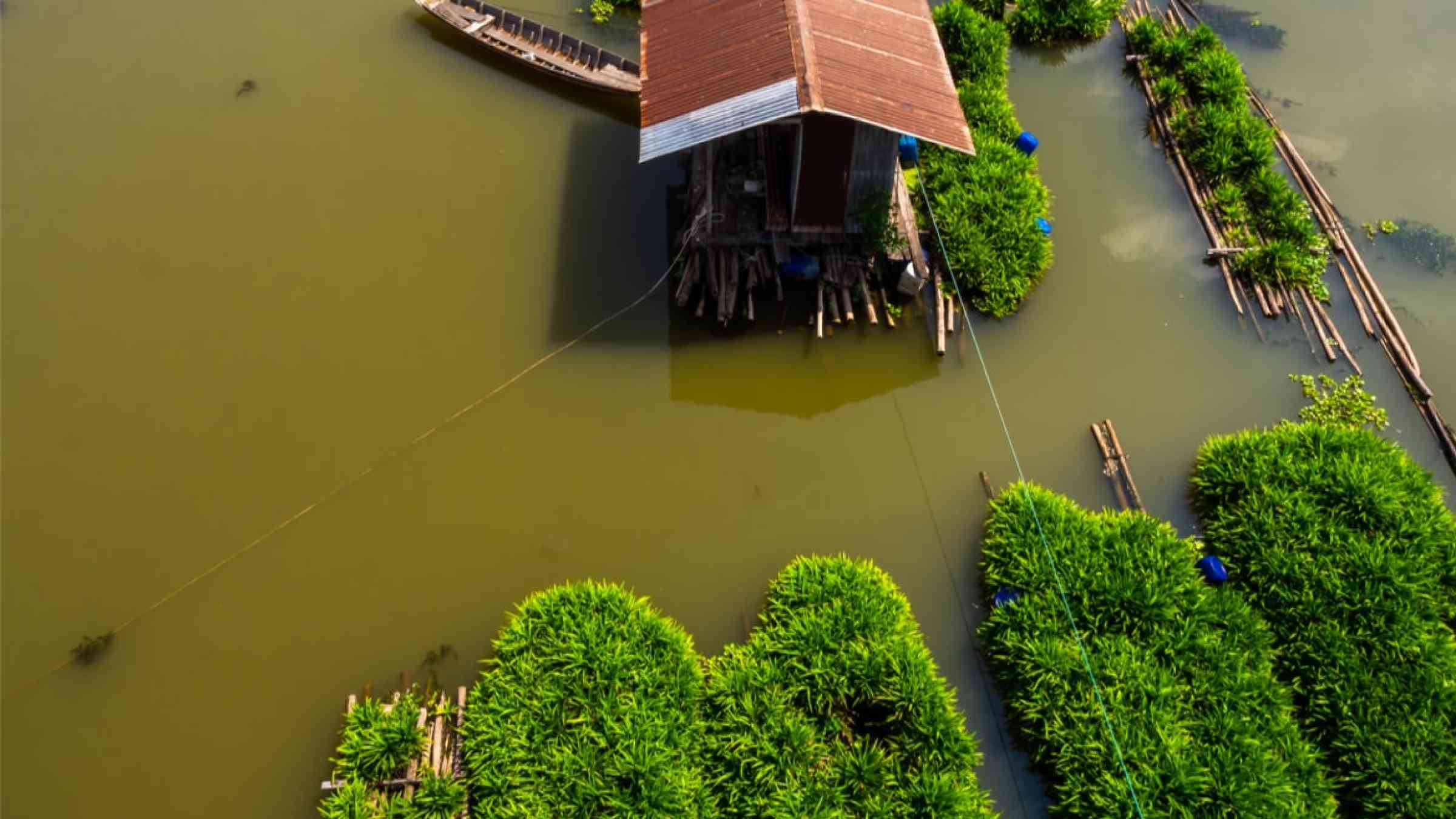Top view of a floating farm