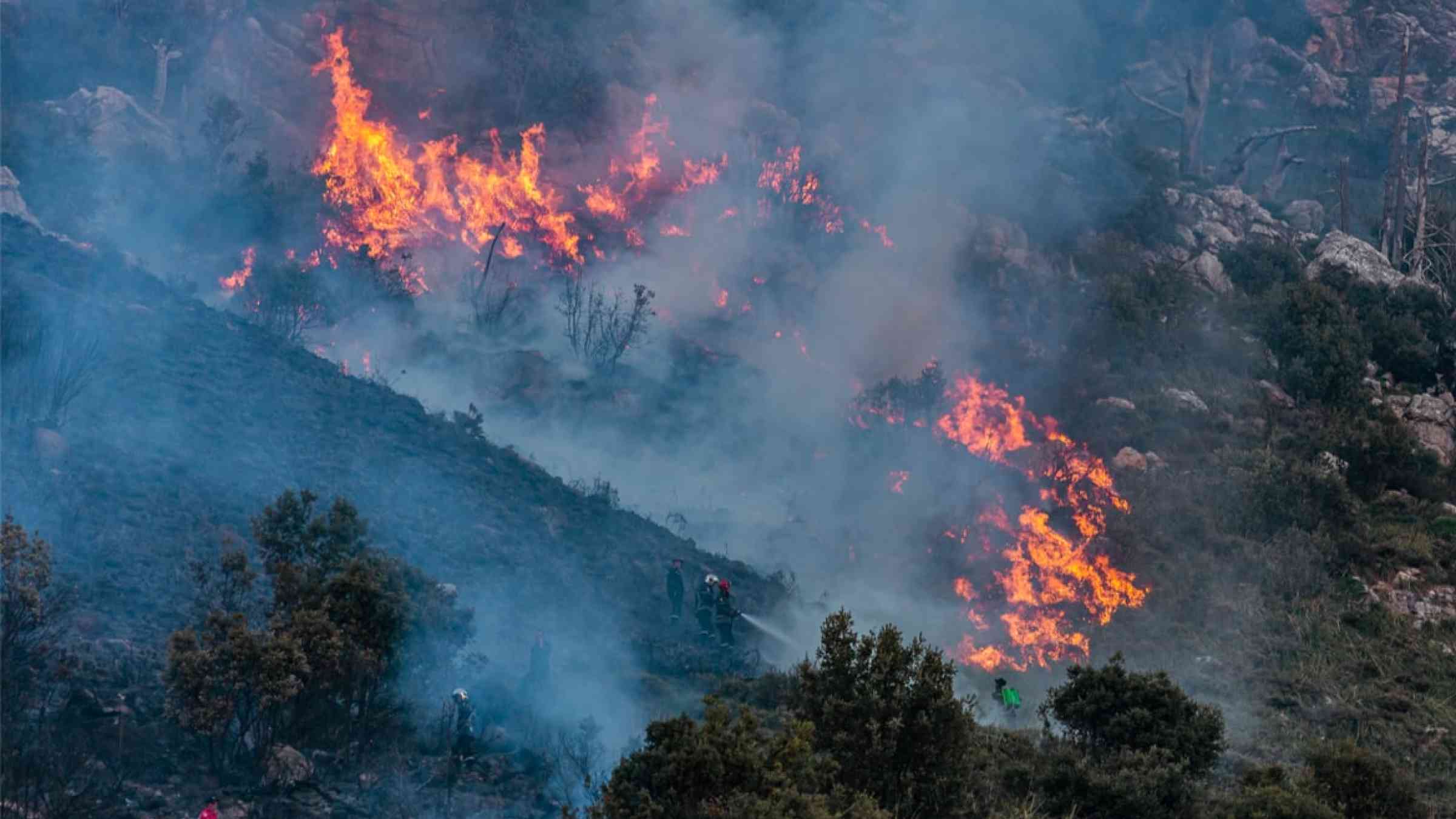 Wildfires in Algeria