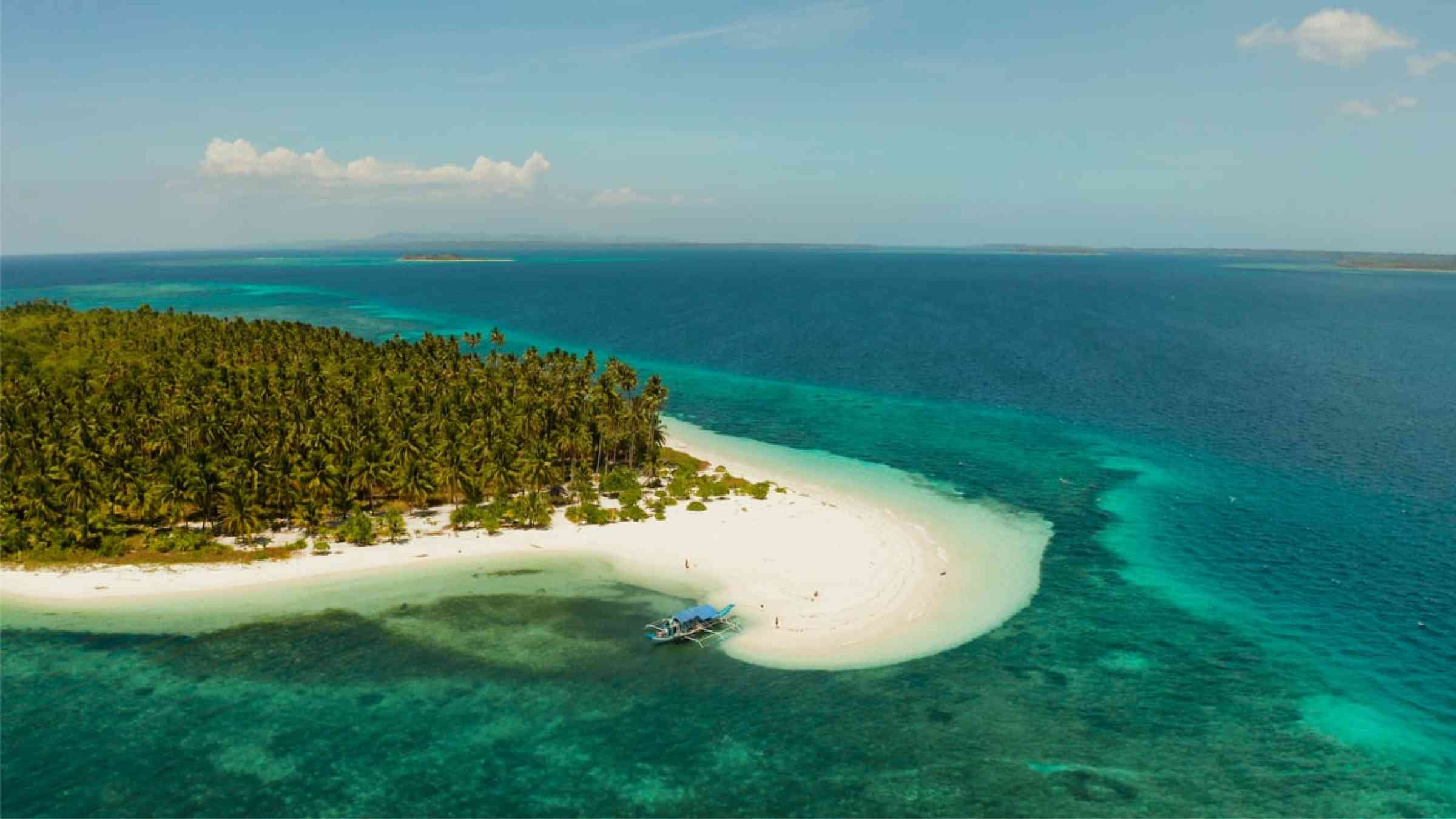The coast of an atoll, with palm trees on a sandy beach