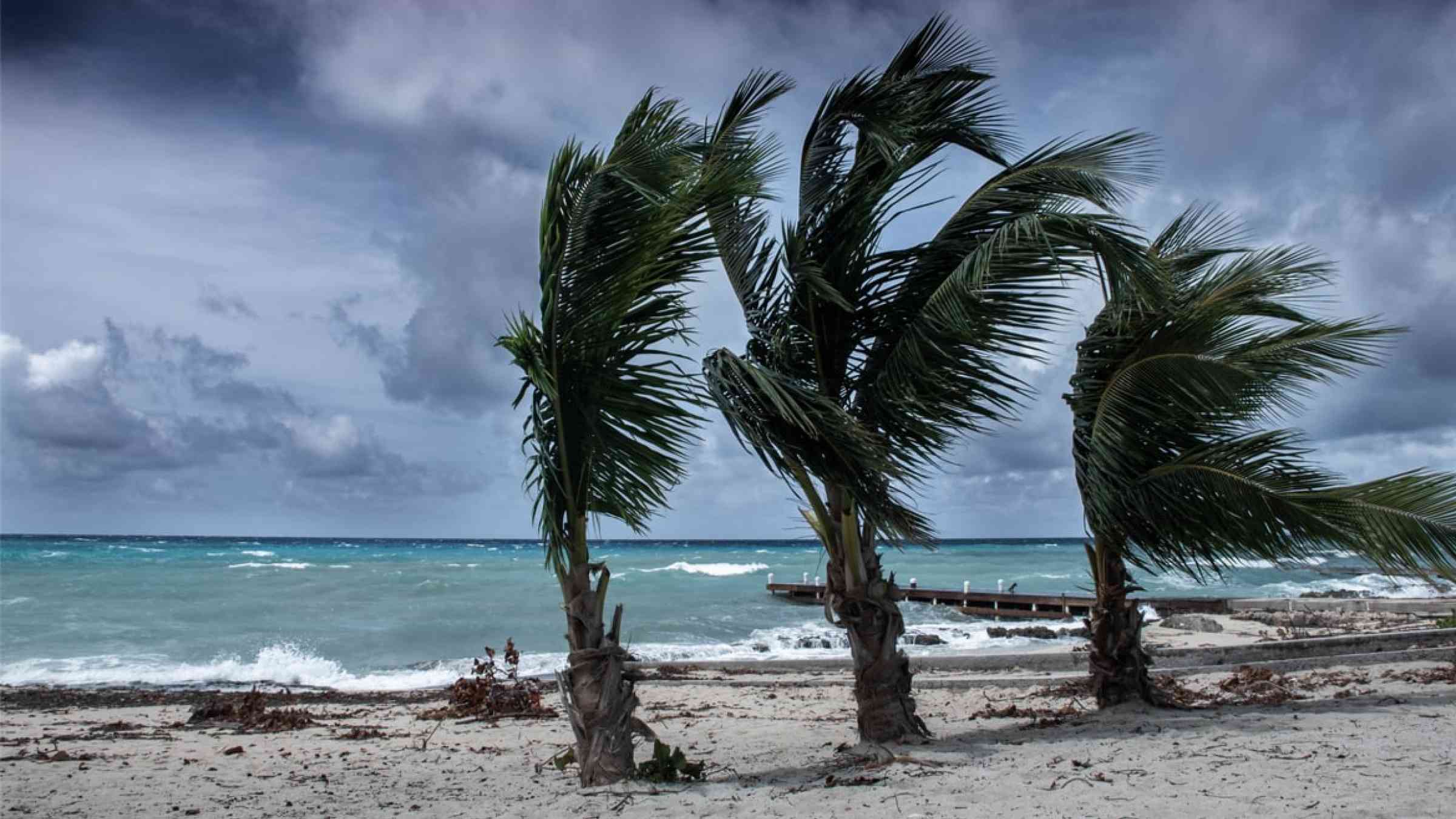 Impact of a hurricane in the Cayman Islands
