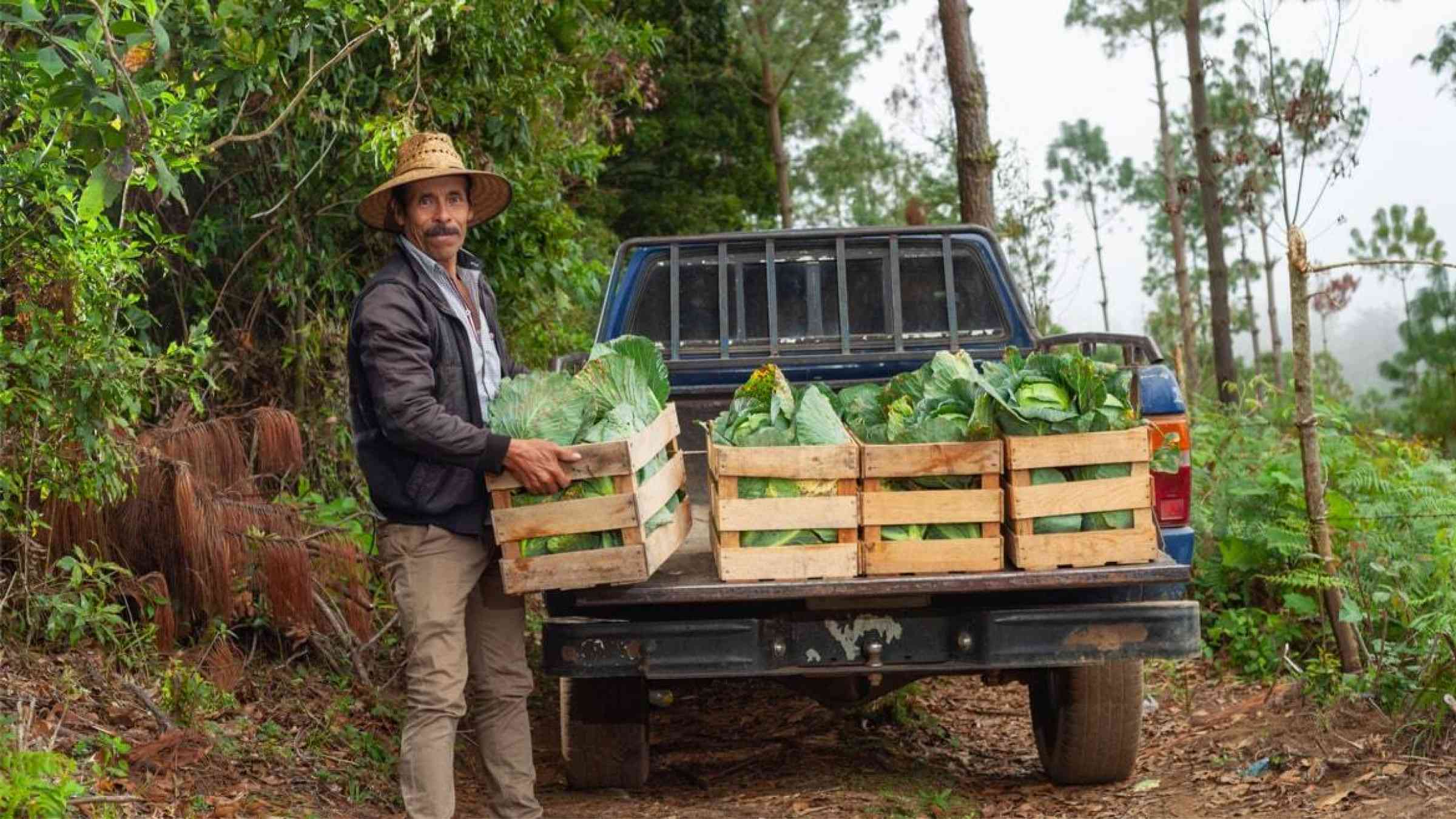 A farmer loads farm produce into a truck