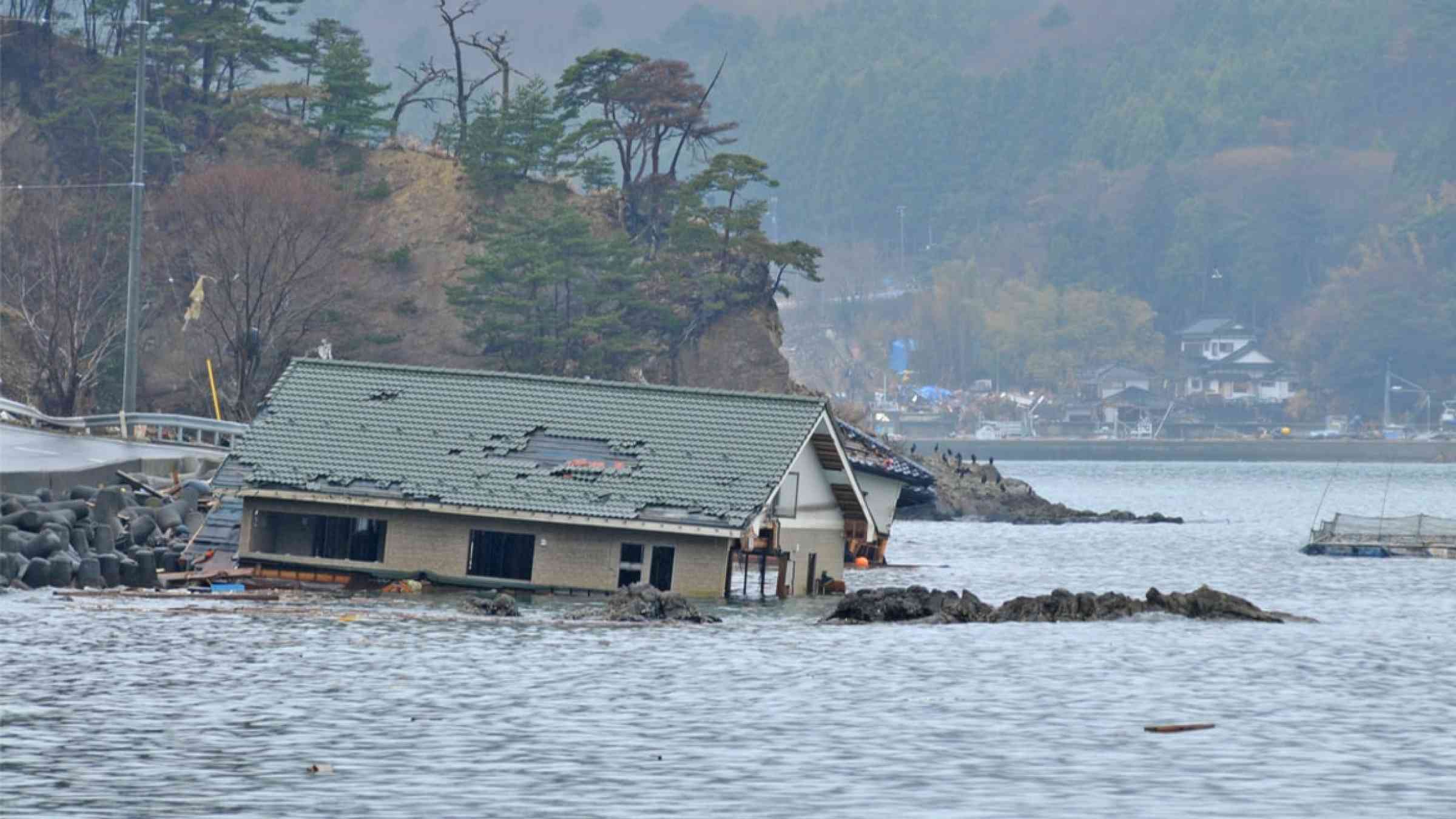Japan Resilience Of Fisheries Following Tohoku Tsunami Preventionweb
