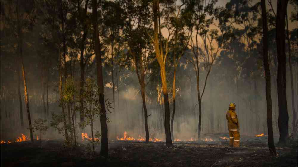 A firefighter surveys wildfire damage in Queensland, Australia