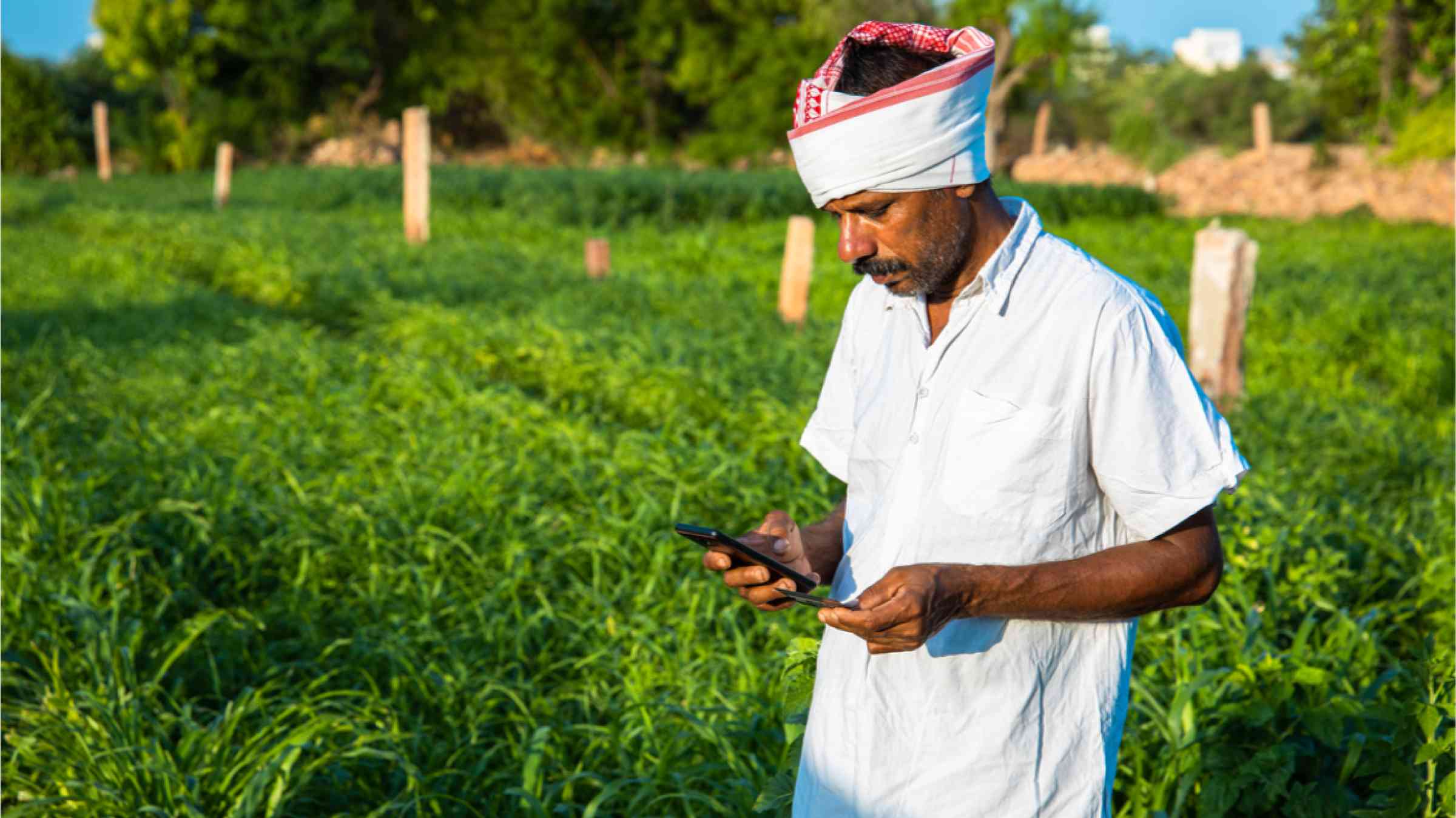 An Indian farmer processes payments through his mobile phone