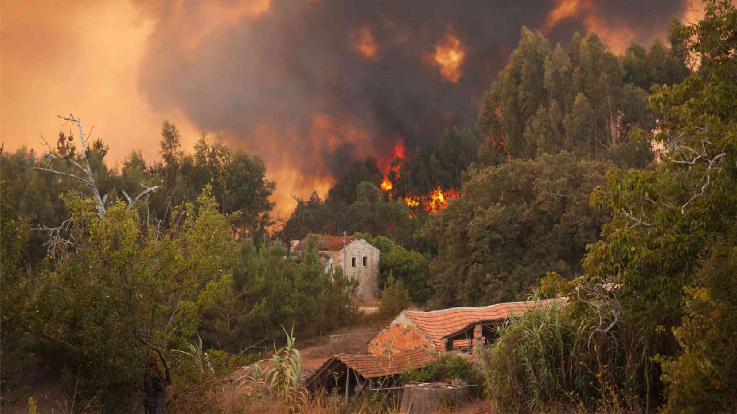 Wildfire threatening houses in Portugal
