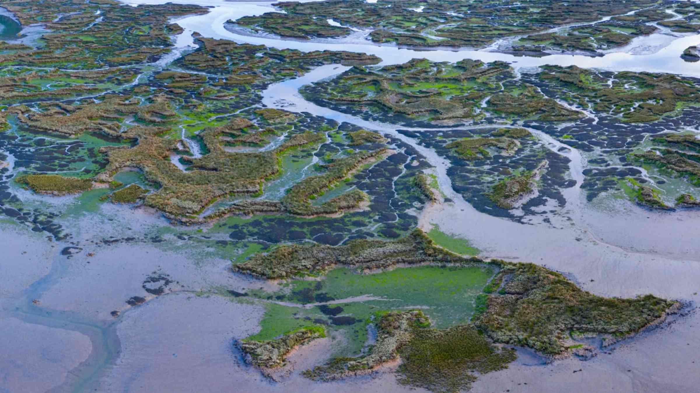 Low tidal marsch landscape in Spain