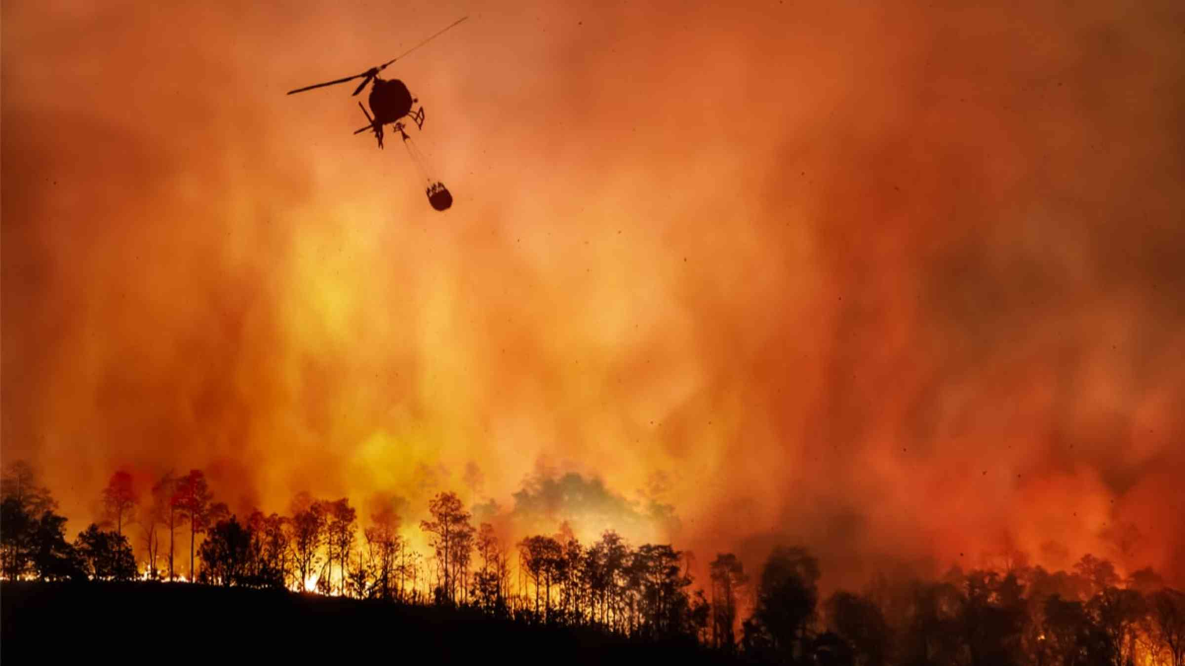Fire fighting helicopter carries a water bucket over wildfires