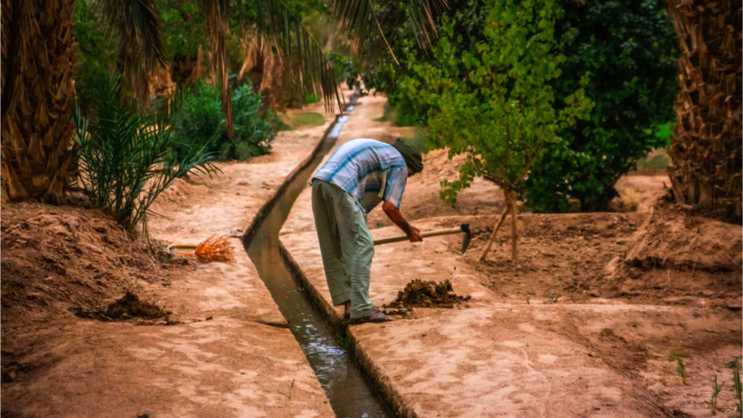 A man working on an irrigation canal, in an oasis in the Sahara, Morocco.