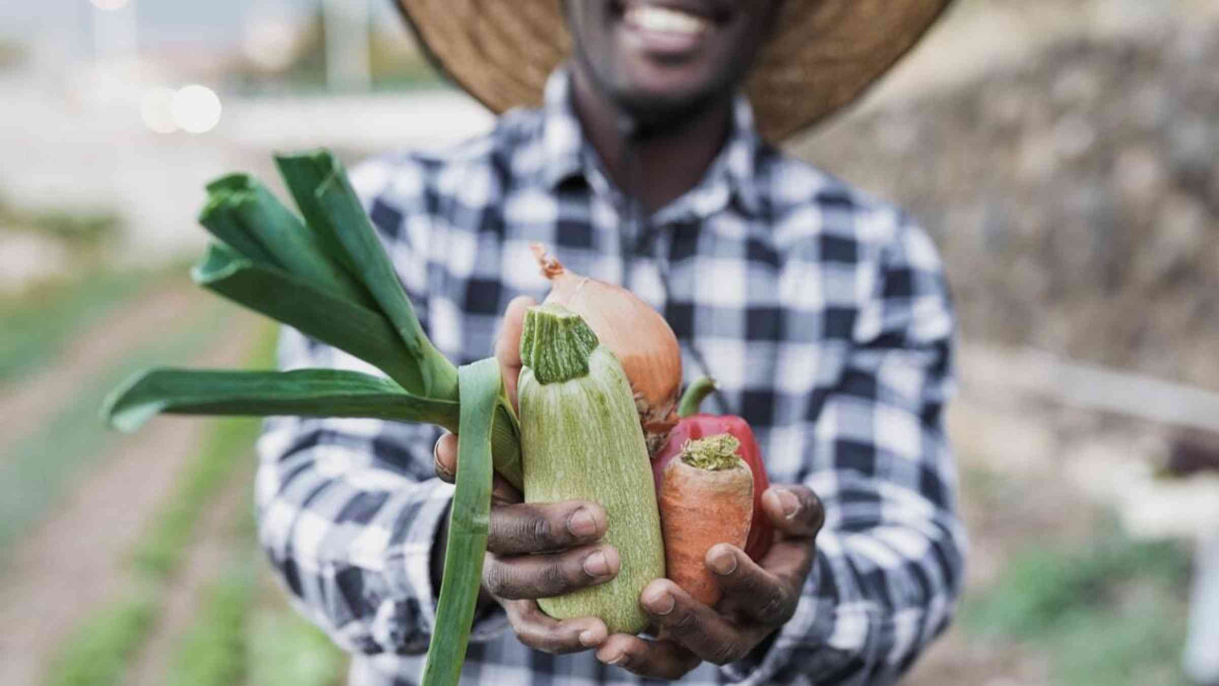 This image shows an African farmer who holds fresh vegetables from sustainable farming.