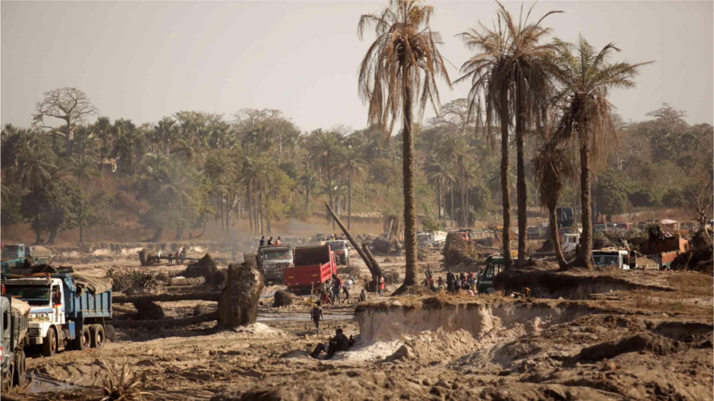 West Africa: Deforestation is causing more storms, finds 30-year