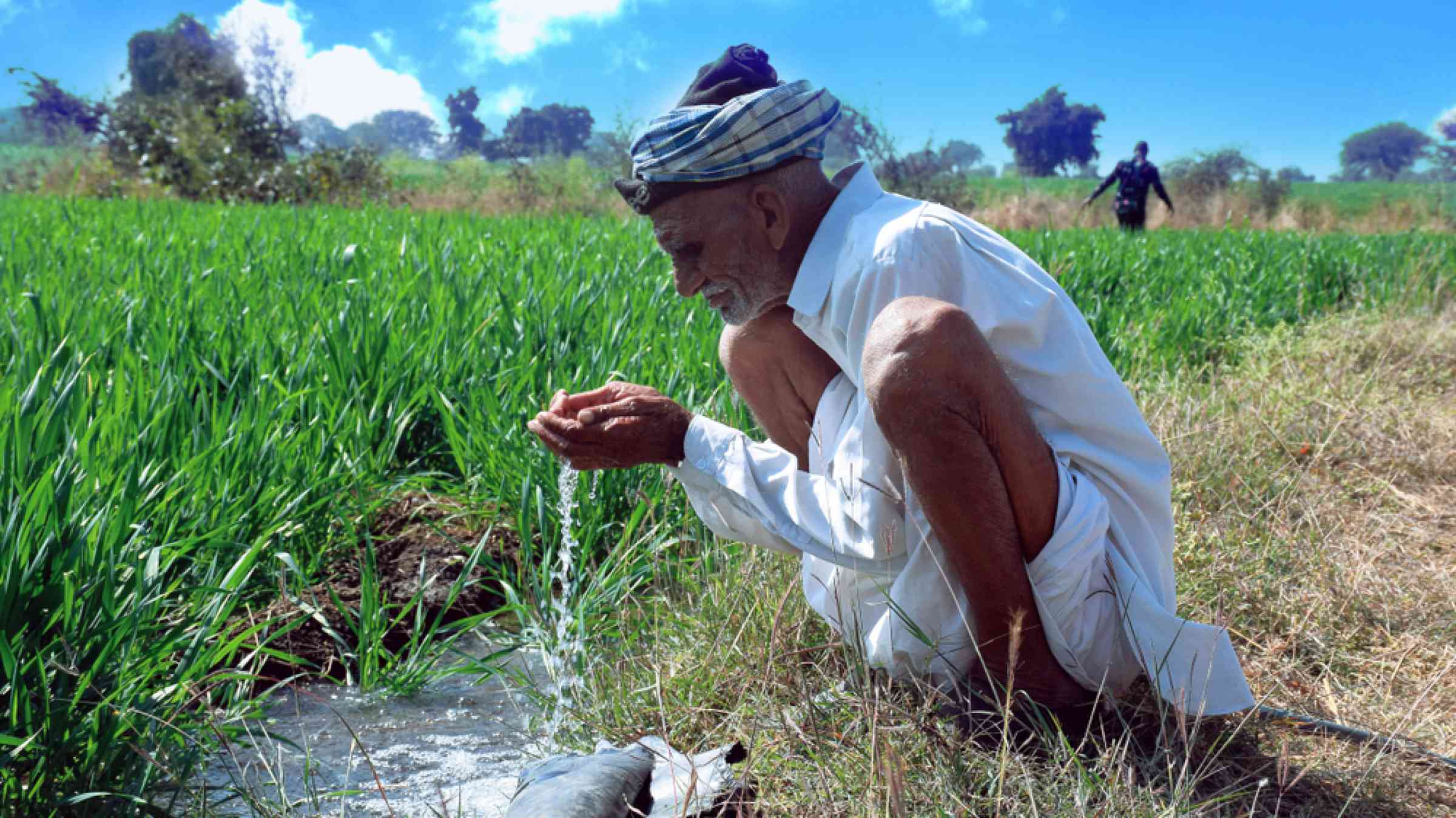 An elderly Indian farmer reaches for a drink of water during a sweltering day