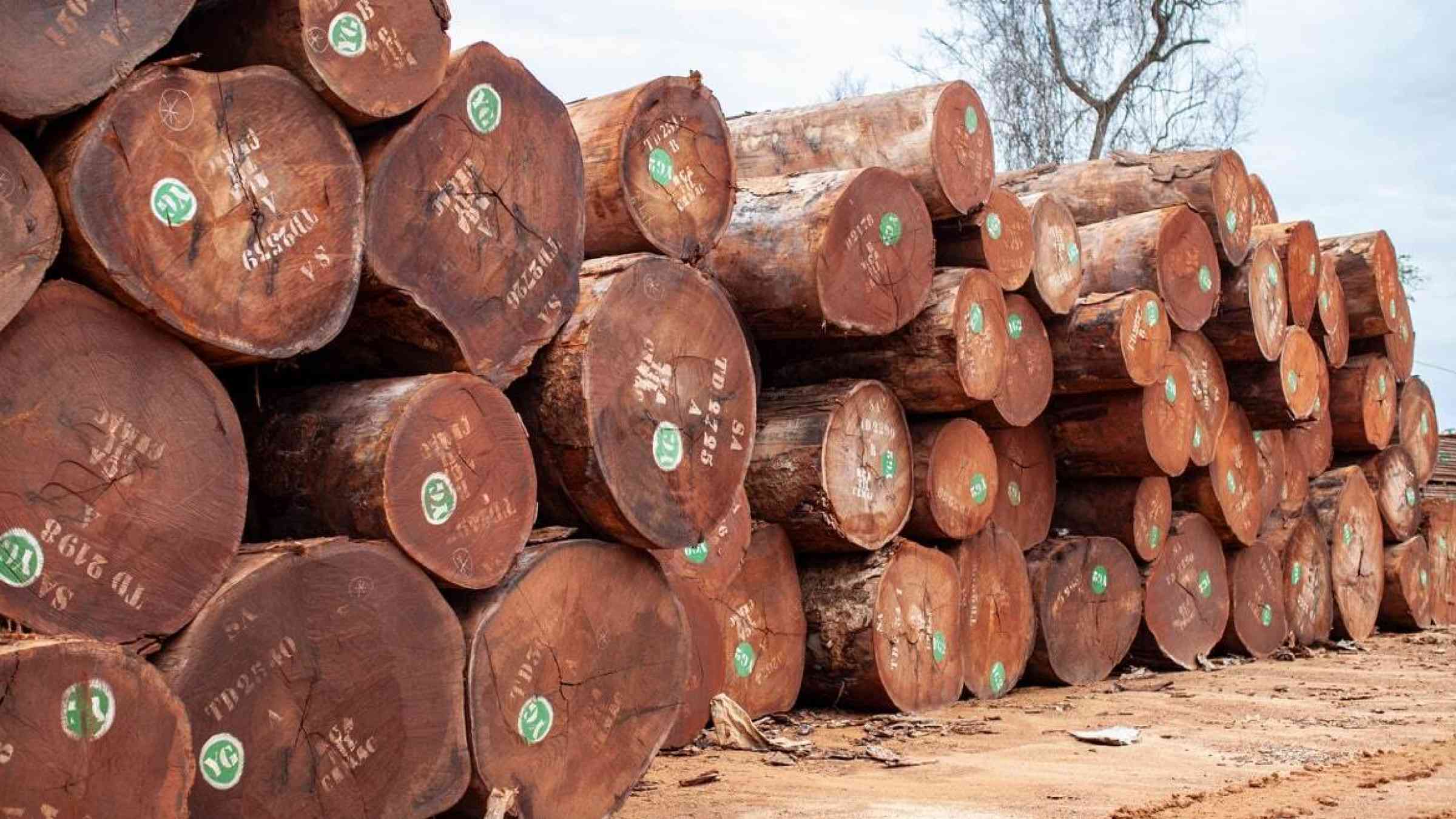 Logs stacked from a West African logging site