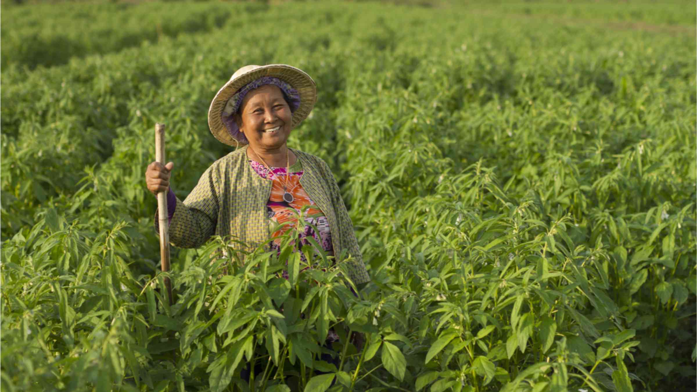 A woman farmer stands in the middle of her field