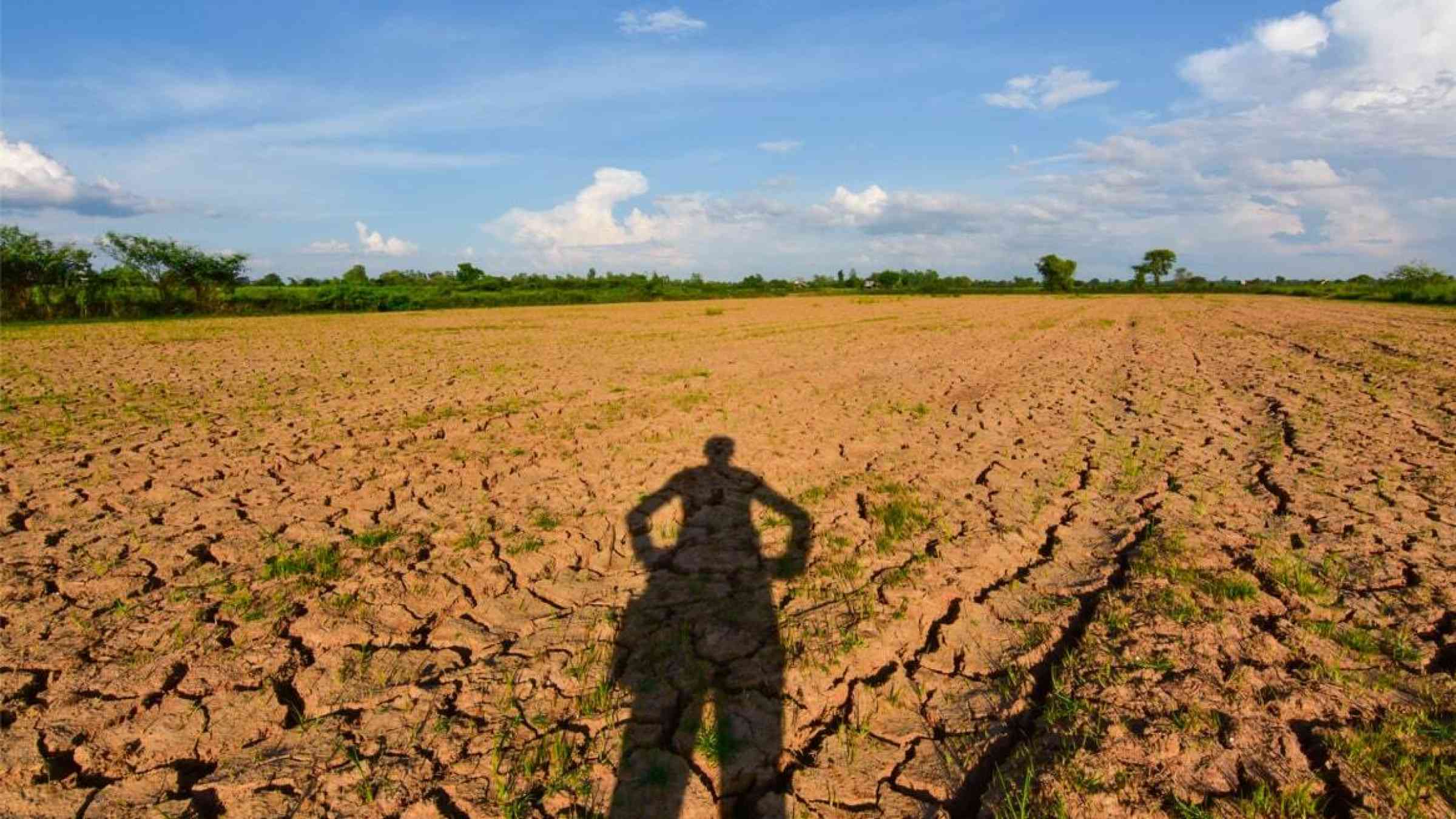 Human silhouette over a dry field