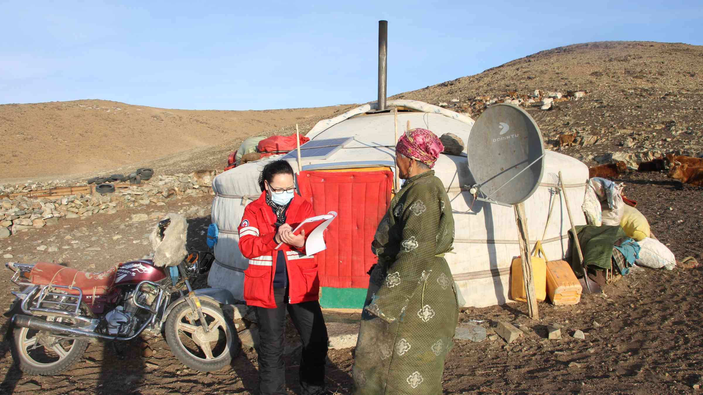 Mongolian Red Cross early action for dzud