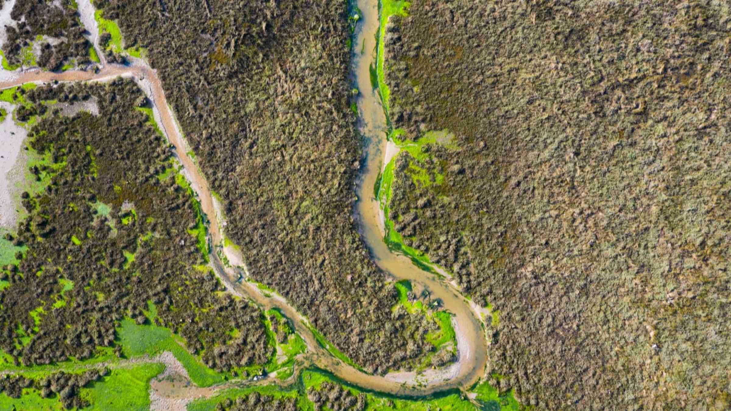 Aerial view of marshes in Spain