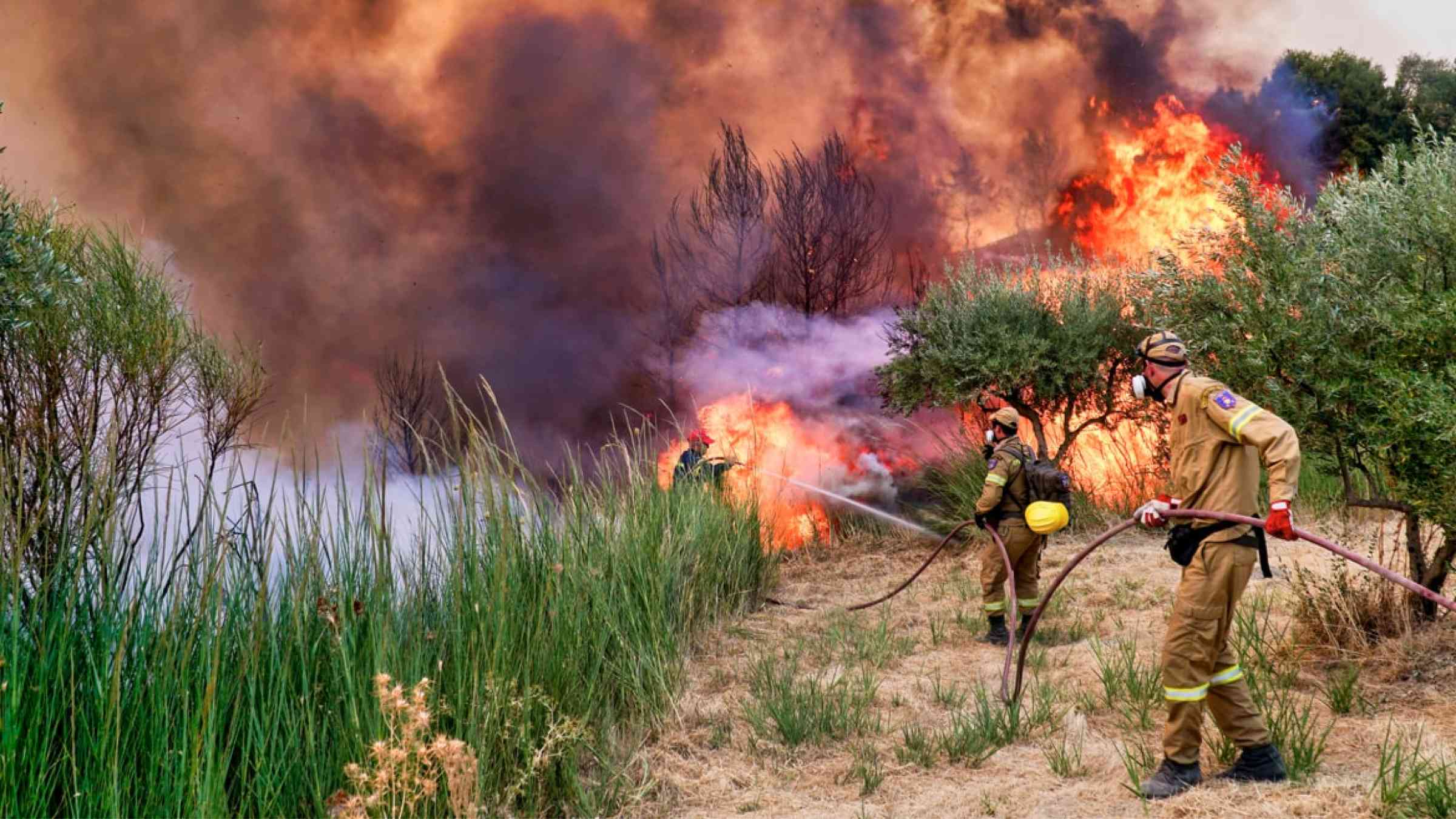Firefighters battle to extinguish a wildfire in Peloponnese, Greece (2021)
