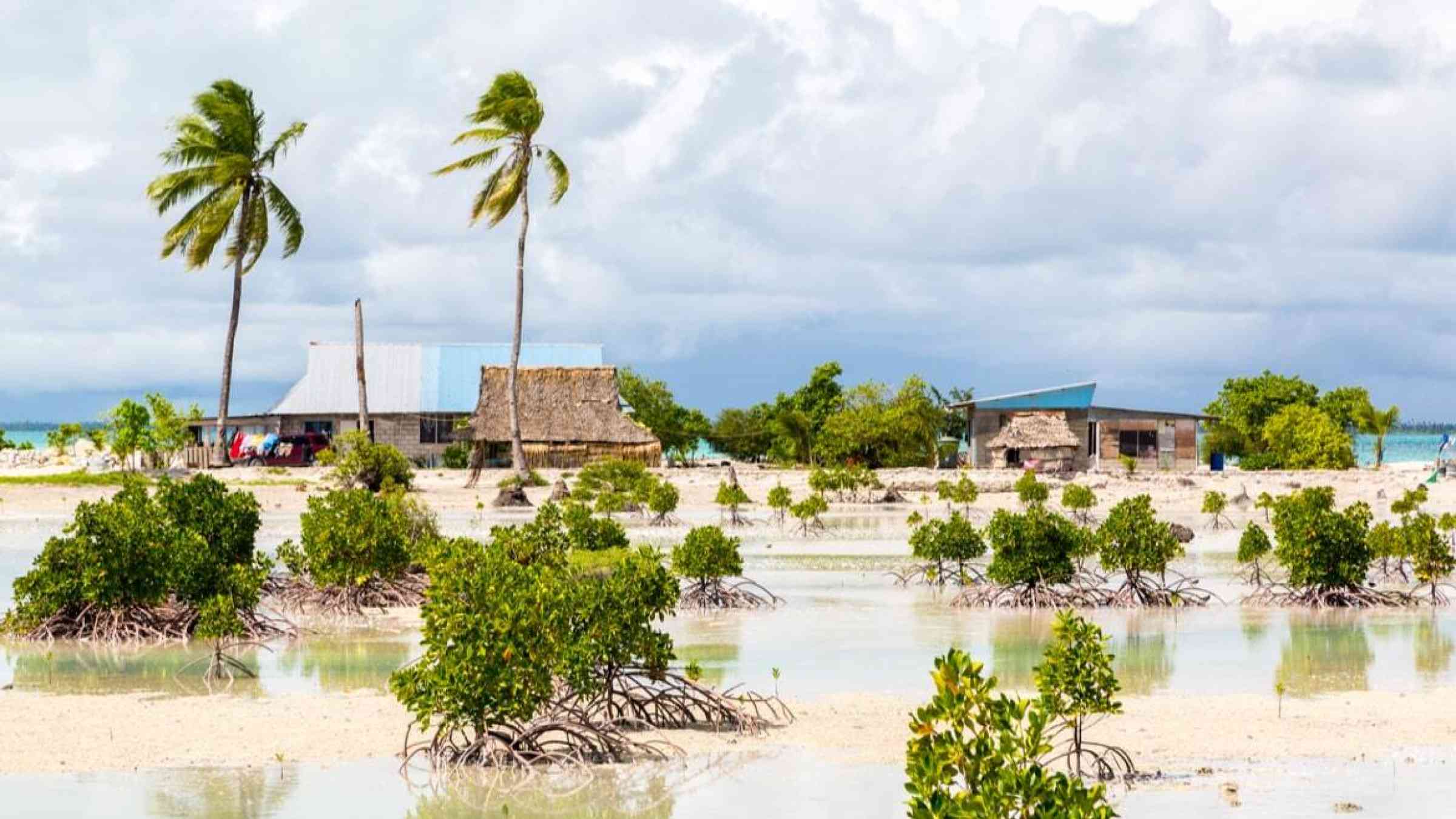 A settlement on the Kiribati mangrove coastline