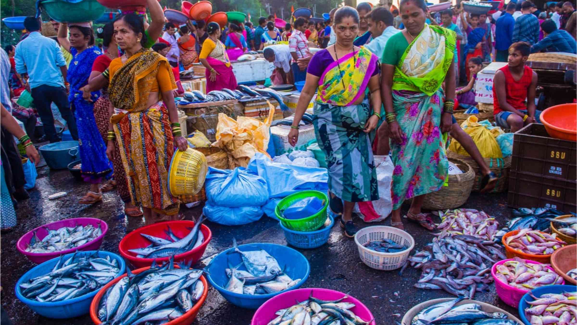 Indian women dressed in colorful clothes selling fish at a fish market.