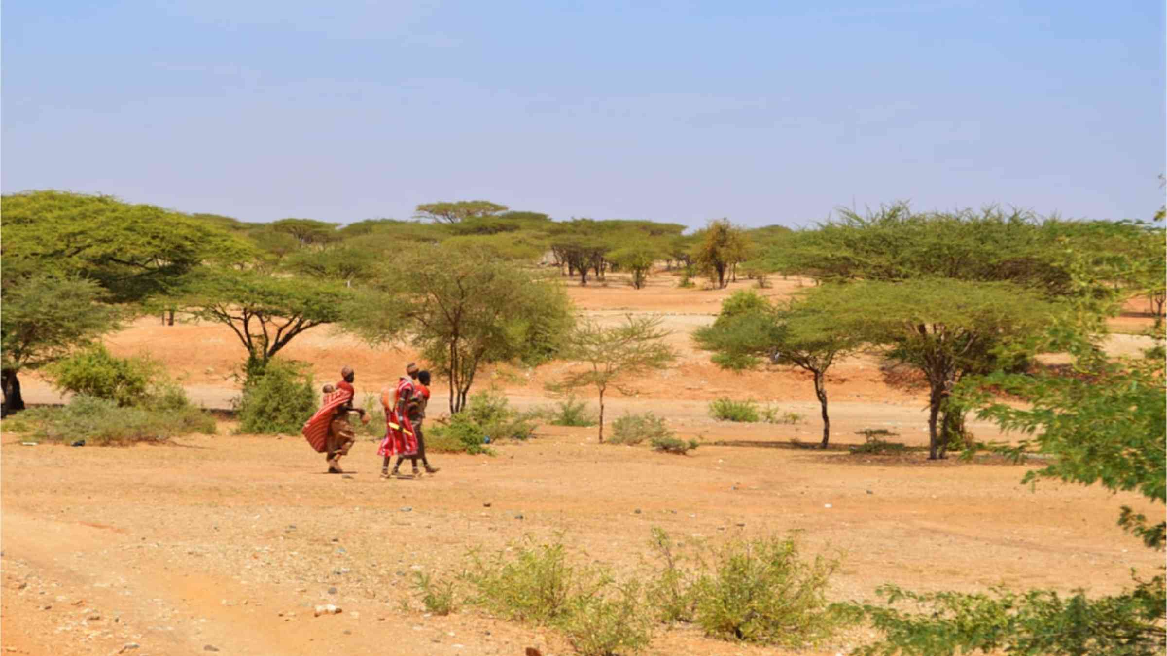 Women and children walking through the desert of Kenya looking for water.