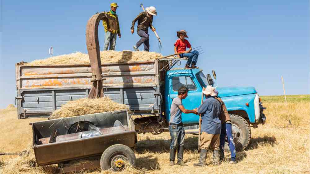 This image shows four farms harvesting their fields in Tajikistan.