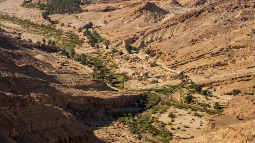 Areal view of the sand mountains in Southern Tunisia close to the Sahara desert. Some trees are growing between the sand dunes.