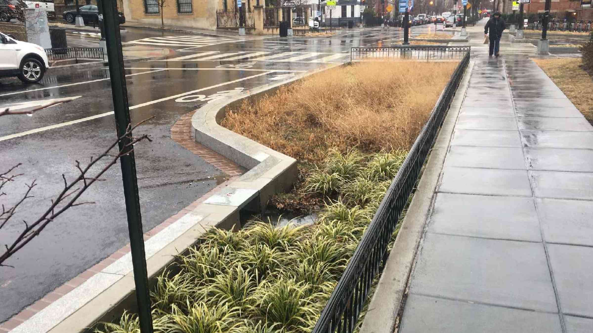 Bioswale, Washington D.C.