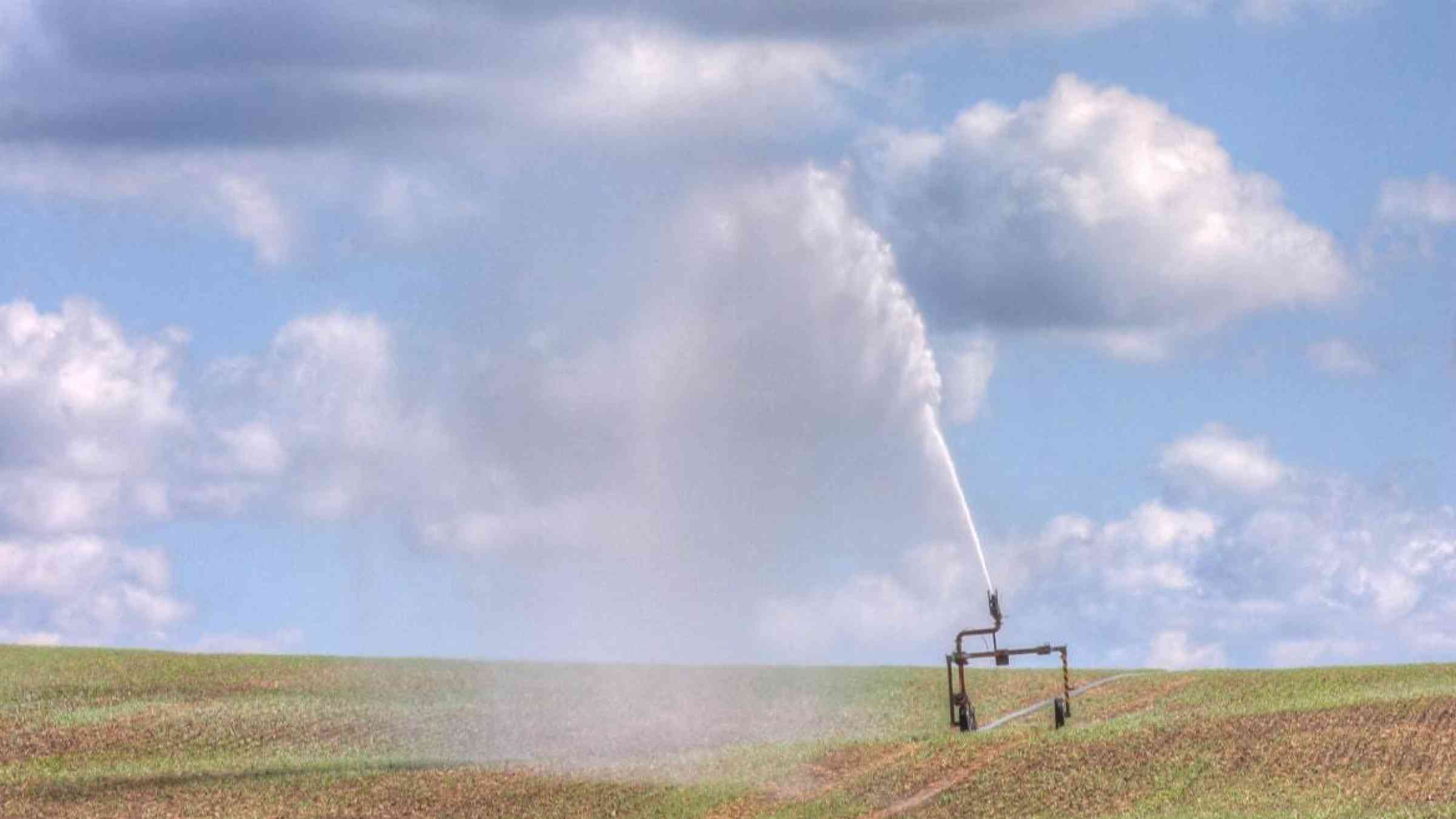 Irrigation of a field