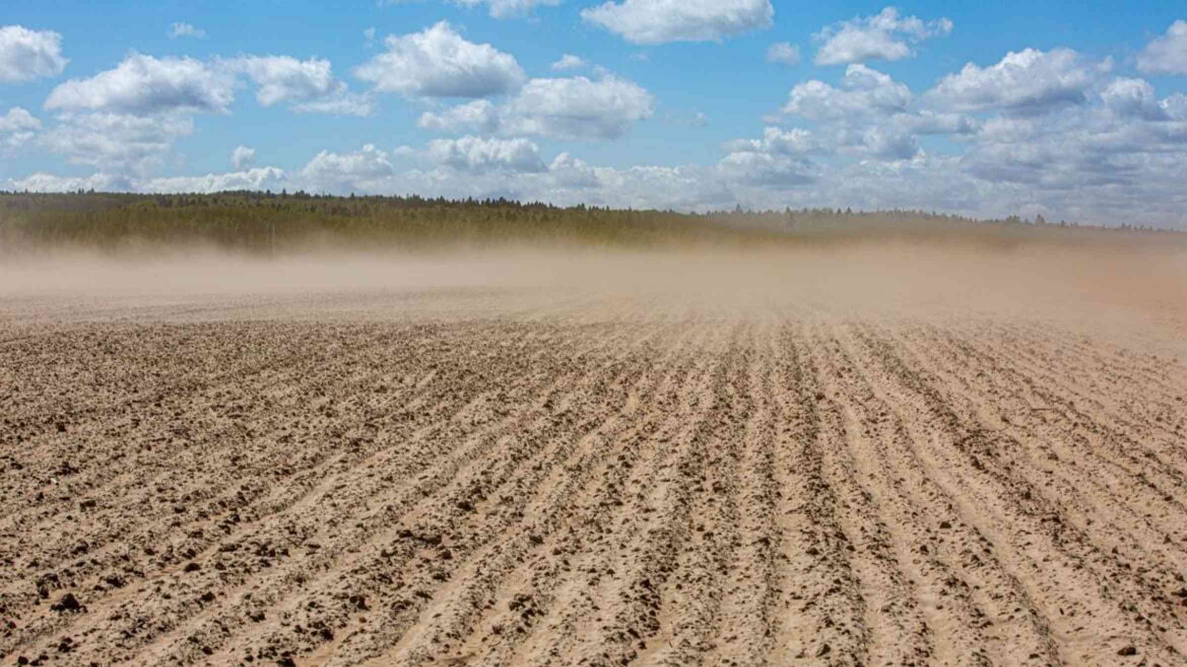 Dust cloud above a dried out field