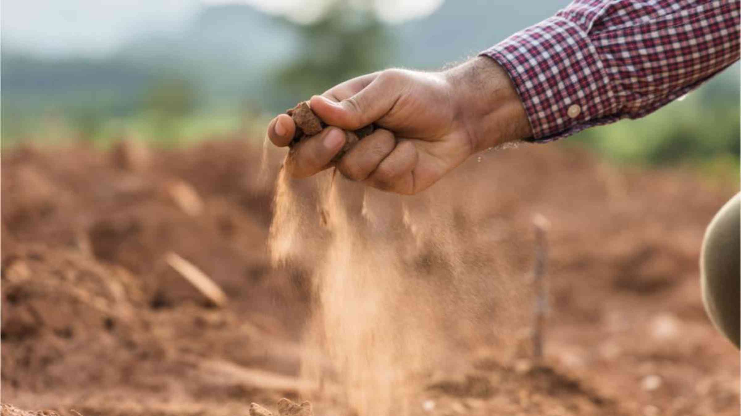 A farmer testing soil by hand