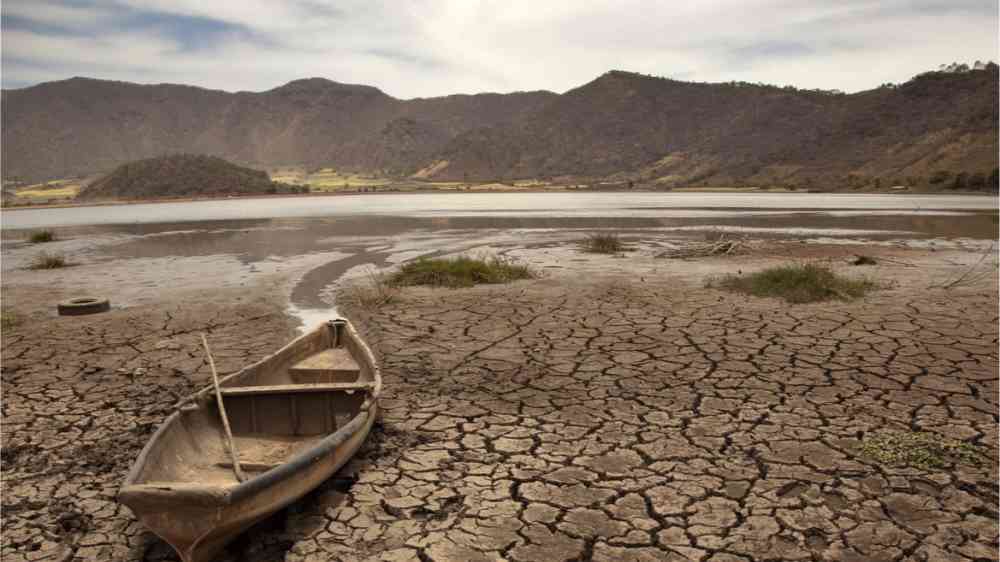 An old wooden boar lying on the ground of a dry lake.