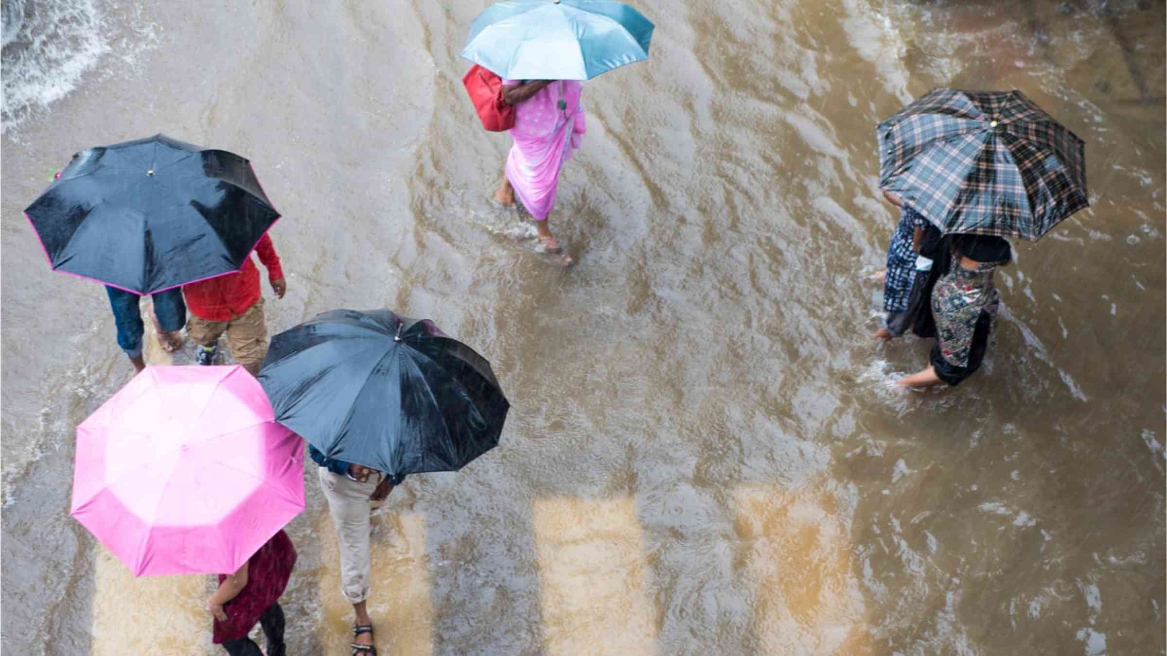 People crossing road with umbrella in rain at Matunga in Mumbai Maharashtra India