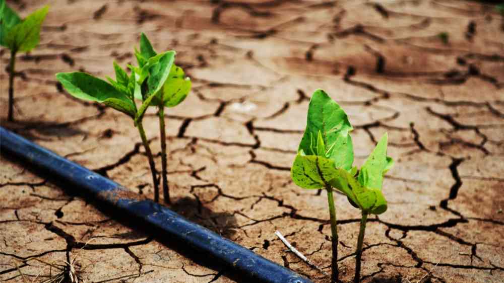 Irrigation system on a field