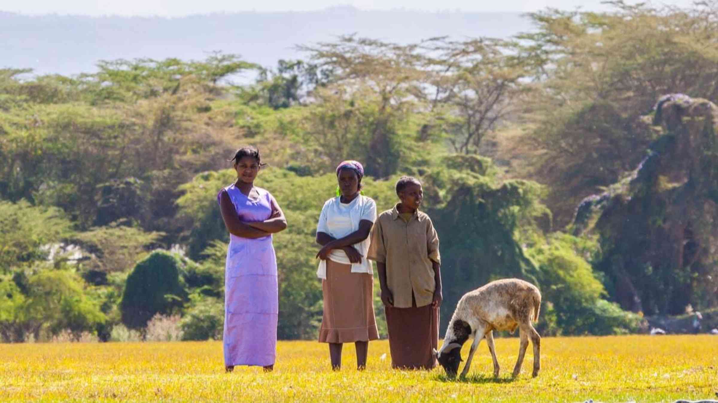 Kenyan women standing in a field next to a goat