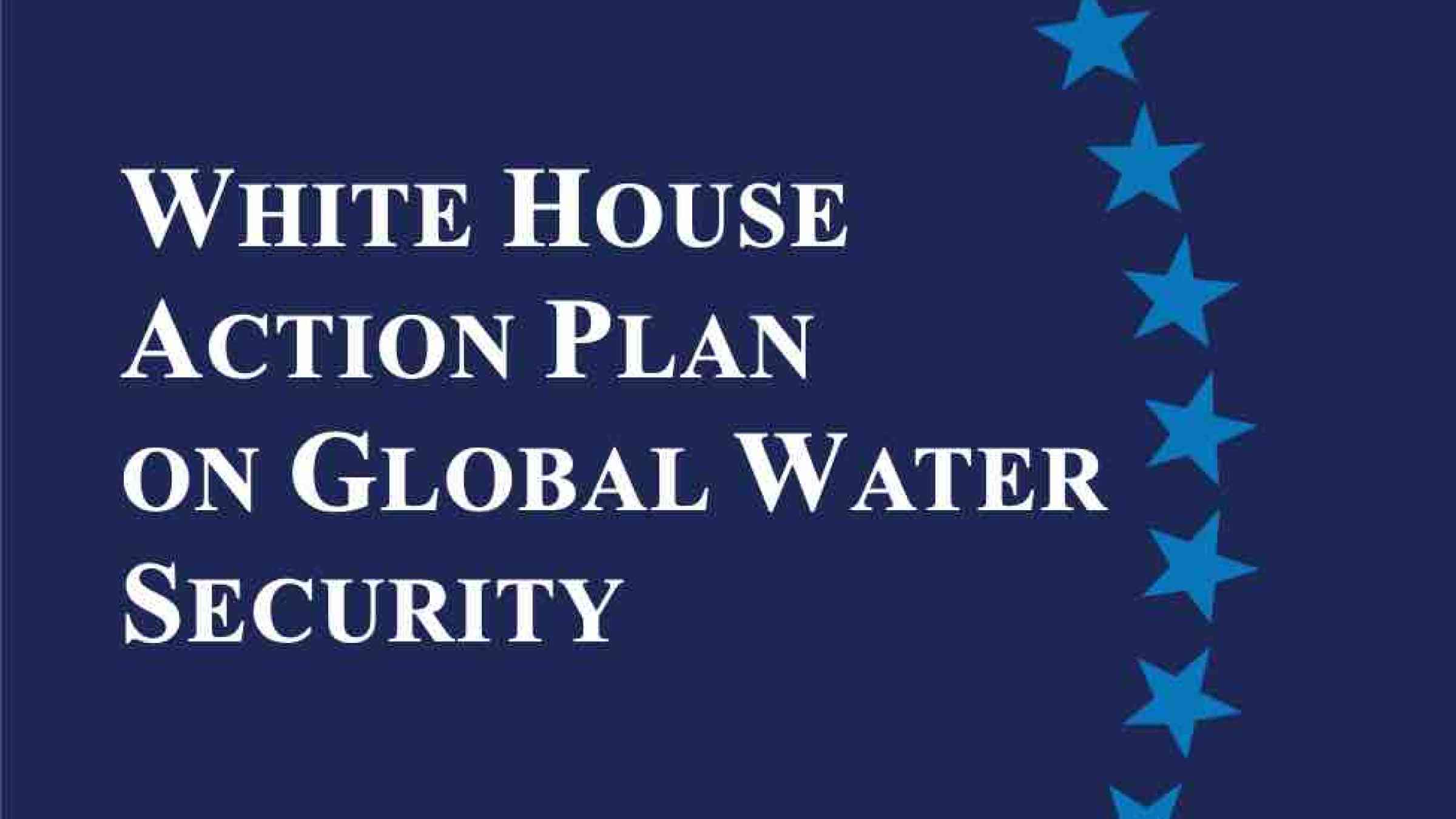 Cover of the White House action plan