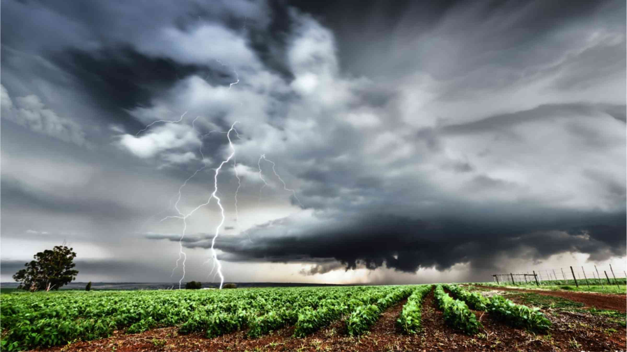Thunderstorm over fields in South Africa.